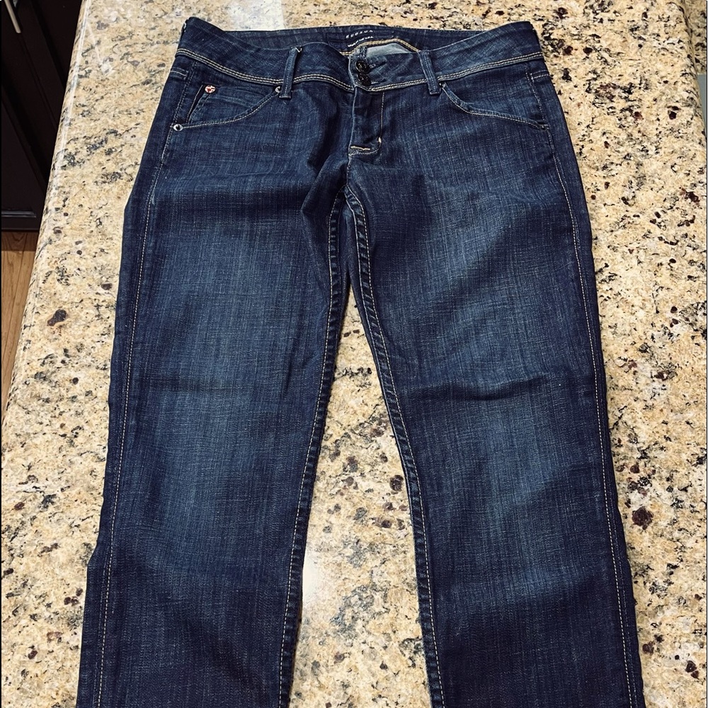 Beautiful HUDSON straight leg denim.